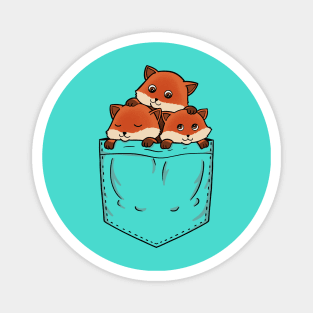 Fox Pocket Magnet